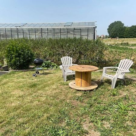 Le Ch'Ti 4 Saisons Maison De Vacances Avec Parking Et Jardin Saint-Omer  Exterior foto